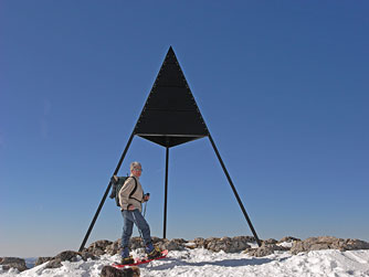 Cliquer pour agrandir