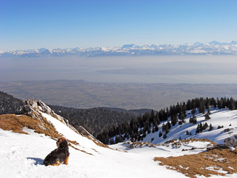 Cliquer pour agrandir