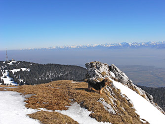 Cliquer pour agrandir