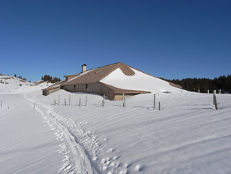 Cliquer pour agrandir