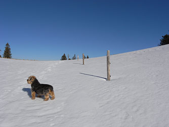 Cliquer pour agrandir