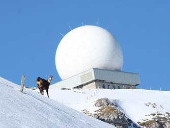 Cliquer pour agrandir