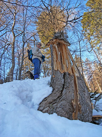 Cliquer pour agrandir