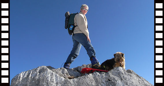 Cliquer pour agrandir