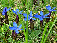 Cliquer pour agrandir