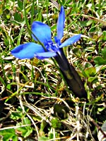 Cliquer pour agrandir