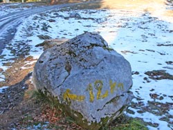 Cliquer pour agrandir