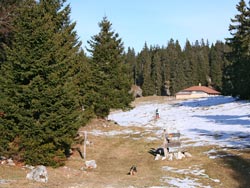 Cliquer pour agrandir