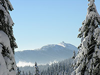 Cliquer pour agrandir