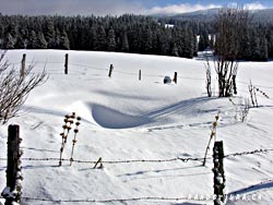 Cliquer pour agrandir