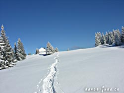 Cliquer pour agrandir