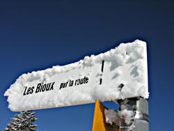 Cliquer pour agrandir