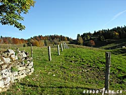 Cliquer pour agrandir