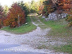 Cliquer pour agrandir