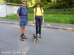 Cliquer pour agrandir