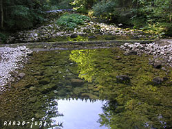 Cliquer pour agrandir