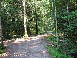 Cliquer pour agrandir