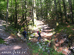 Cliquer pour agrandir