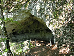 Cliquer pour agrandir