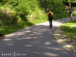 Cliquer pour agrandir