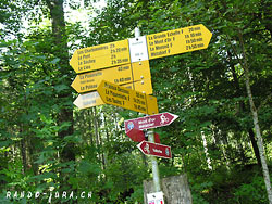 Cliquer pour agrandir