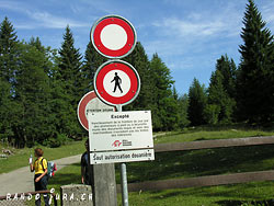 Cliquer pour agrandir