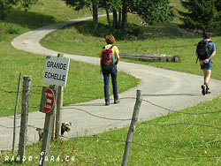 Cliquer pour agrandir