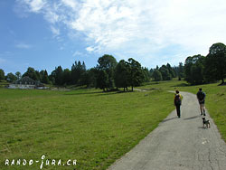 Cliquer pour agrandir