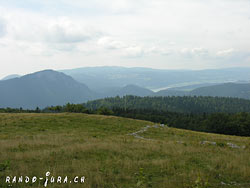 Cliquer pour agrandir