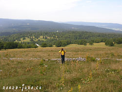 Cliquer pour agrandir