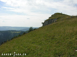 Cliquer pour agrandir