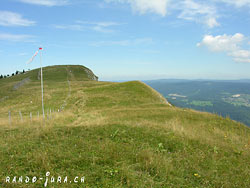 Cliquer pour agrandir