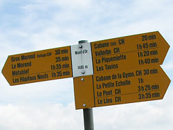 Cliquer pour agrandir