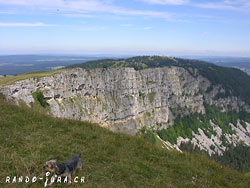 Cliquer pour agrandir