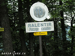 Cliquer pour agrandir