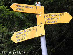 Cliquer pour agrandir