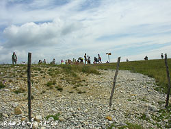 Cliquer pour agrandir