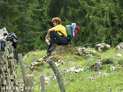 Cliquer pour agrandir