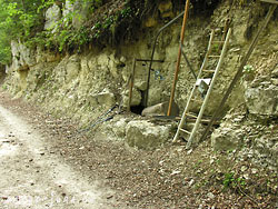 Cliquer pour agrandir