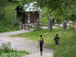 Cliquer pour agrandir