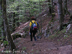 Cliquer pour agrandir