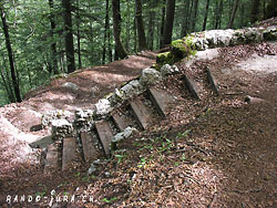 Cliquer pour agrandir