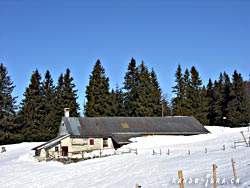 Cliquer pour agrandir