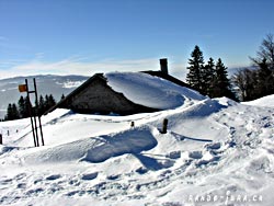 Cliquer pour agrandir