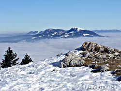 Cliquer pour agrandir