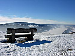 Cliquer pour agrandir