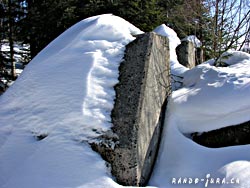 Cliquer pour agrandir