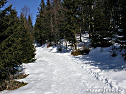 Cliquer pour agrandir